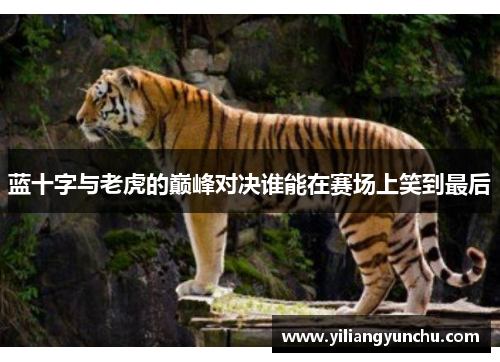 蓝十字与老虎的巅峰对决谁能在赛场上笑到最后