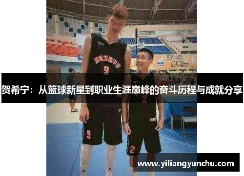 贺希宁：从篮球新星到职业生涯巅峰的奋斗历程与成就分享