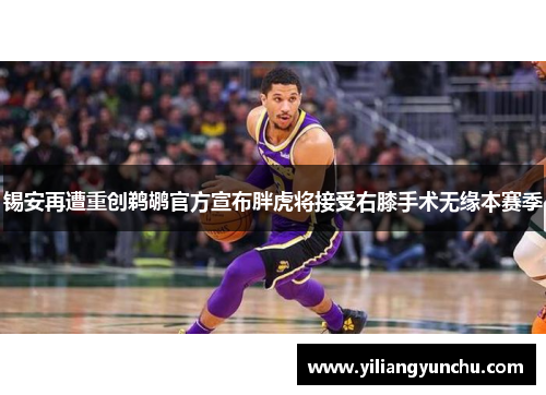锡安再遭重创鹈鹕官方宣布胖虎将接受右膝手术无缘本赛季